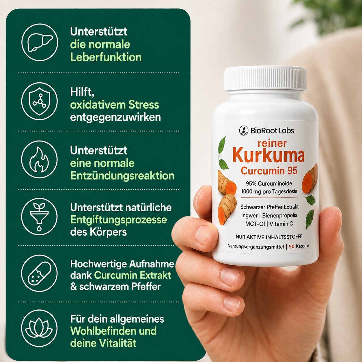 Kurkuma Curcumin Leber Komplex – 1.000 mg