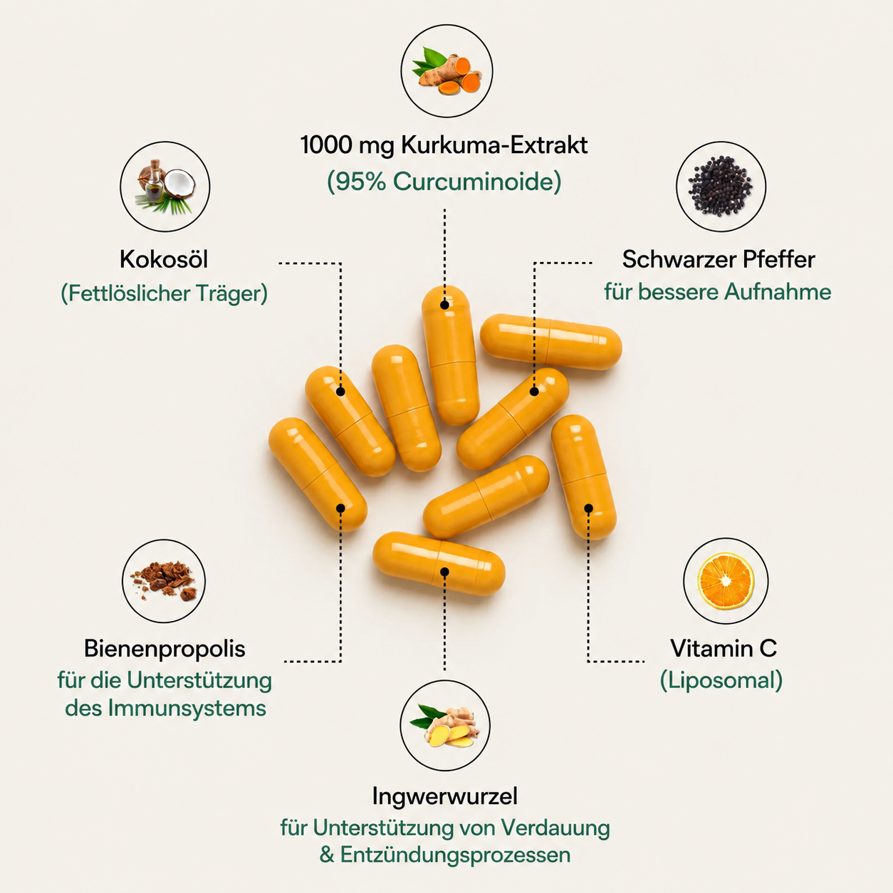 Kurkuma Curcumin Leber Komplex – 1.000 mg