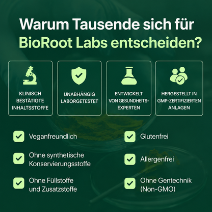 Kurkuma Curcumin Leber Komplex – 1.000 mg